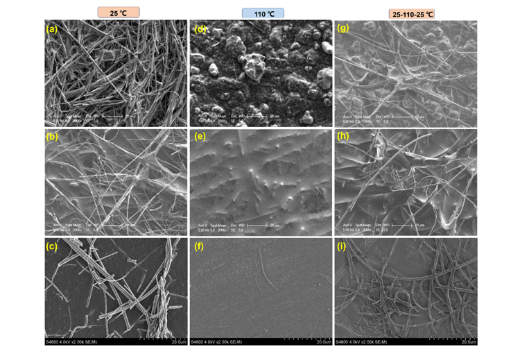 SEM images of each component of the self-protection electrolyte battery 