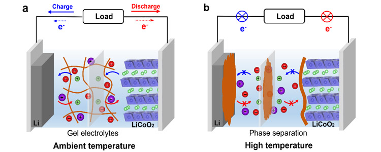 Working mechanism of the temperature-sensitive "switch" electrolyte