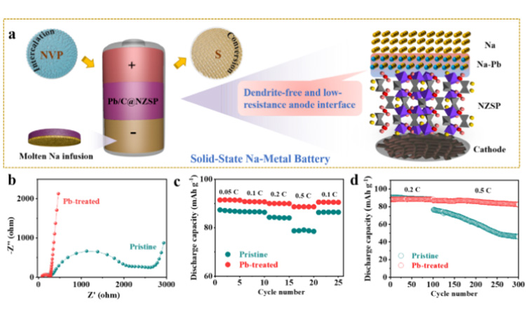 Pb/C@NZSP solid state batteries based on intercalated NVP and converted S positive electrode show better rate performance and cycle stability than unmodified full batteries