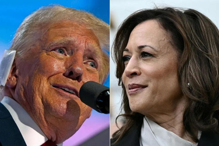 Trump and Harris